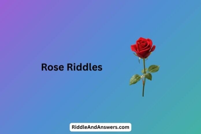Rose Riddles: What Blooms Beautifully but Cannot Speak?